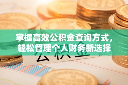 铜川掌握高效公积金查询方式，轻松管理个人财务新选择