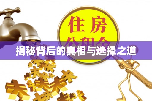 铜川揭秘背后的真相与选择之道