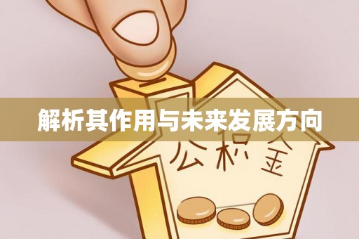 铜川解析其作用与未来发展方向